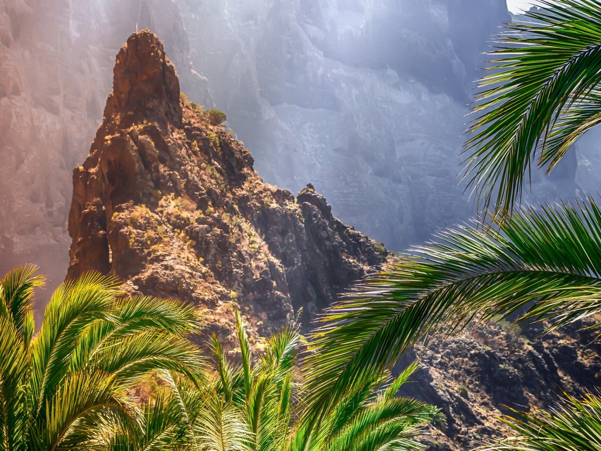 Tenerife: El barranco de&nbsp;Masca